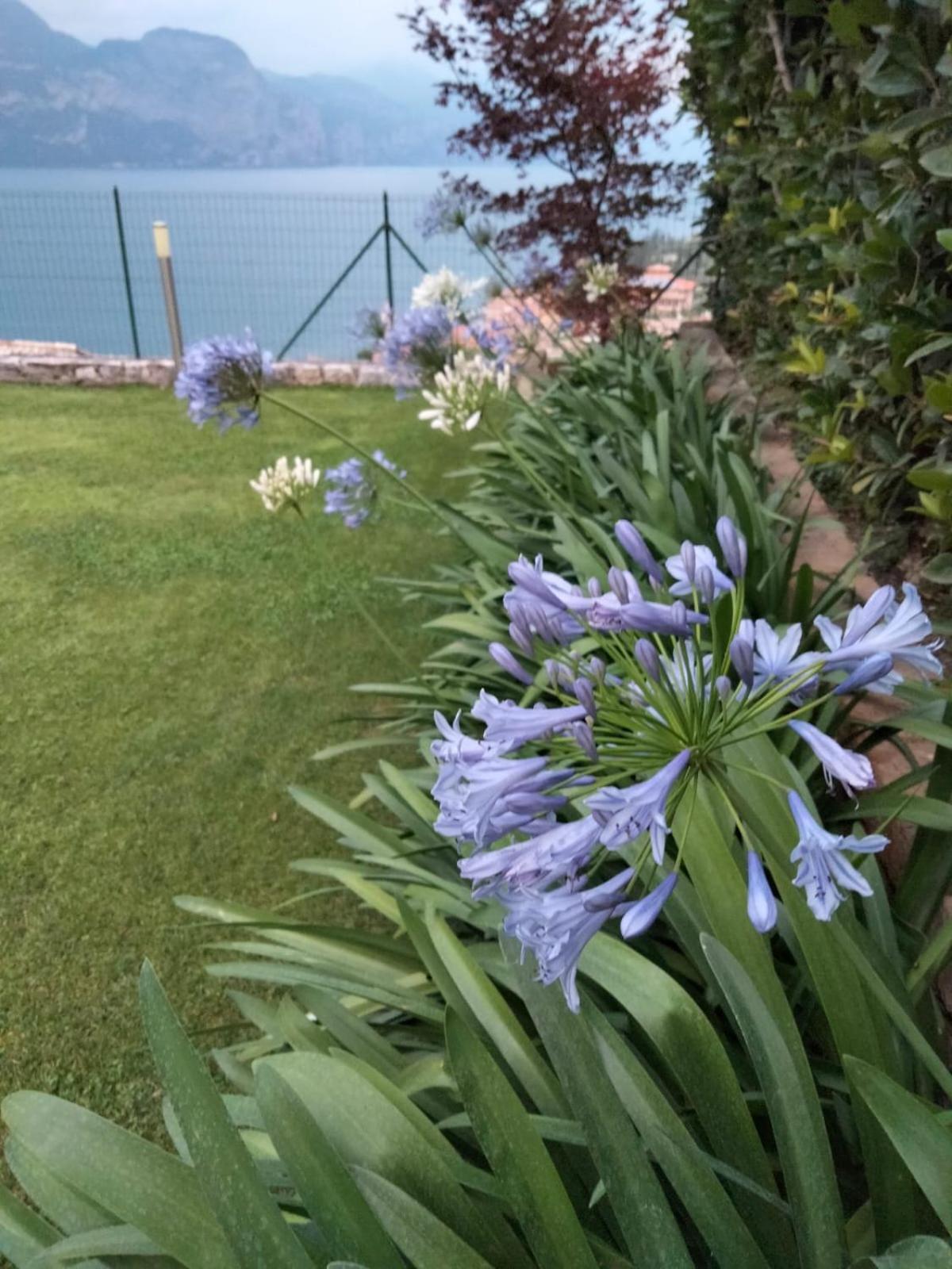 Appartamento Anna Brenzone sul Garda Εξωτερικό φωτογραφία
